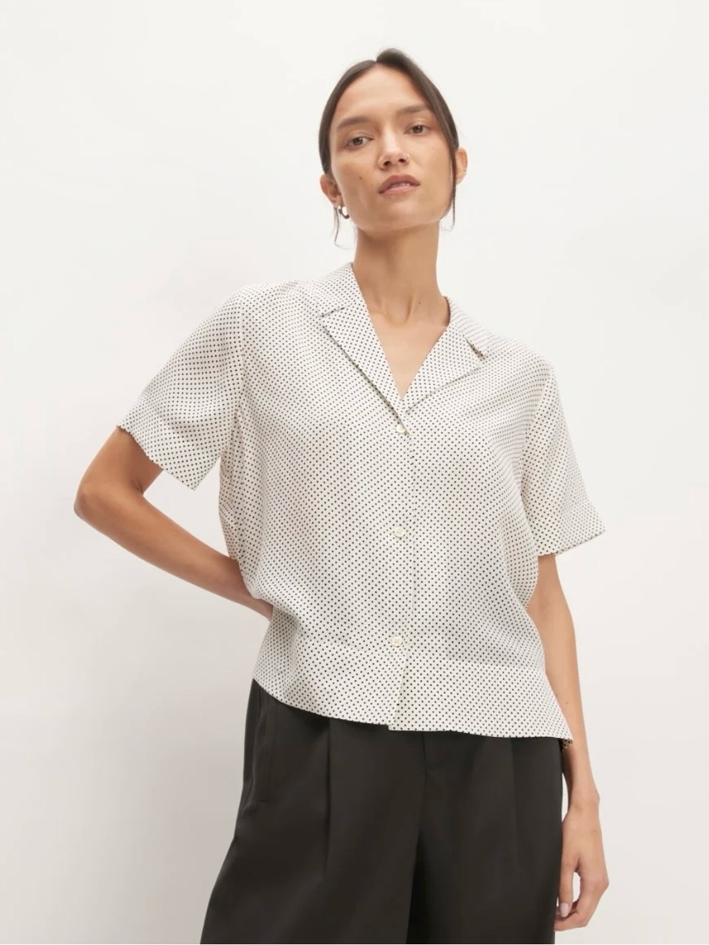 Everlane Notch Shirt in Washable Silk